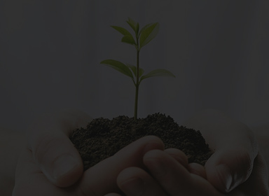 必赢亚洲·bwin(中国)唯一官方网站