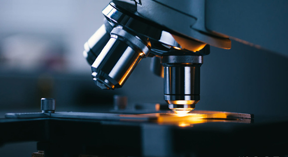 必赢亚洲·bwin(中国)唯一官方网站